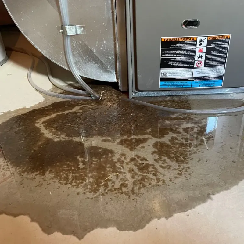 Pipe Burst and Leak Restoration in Lake Kiowa, TX