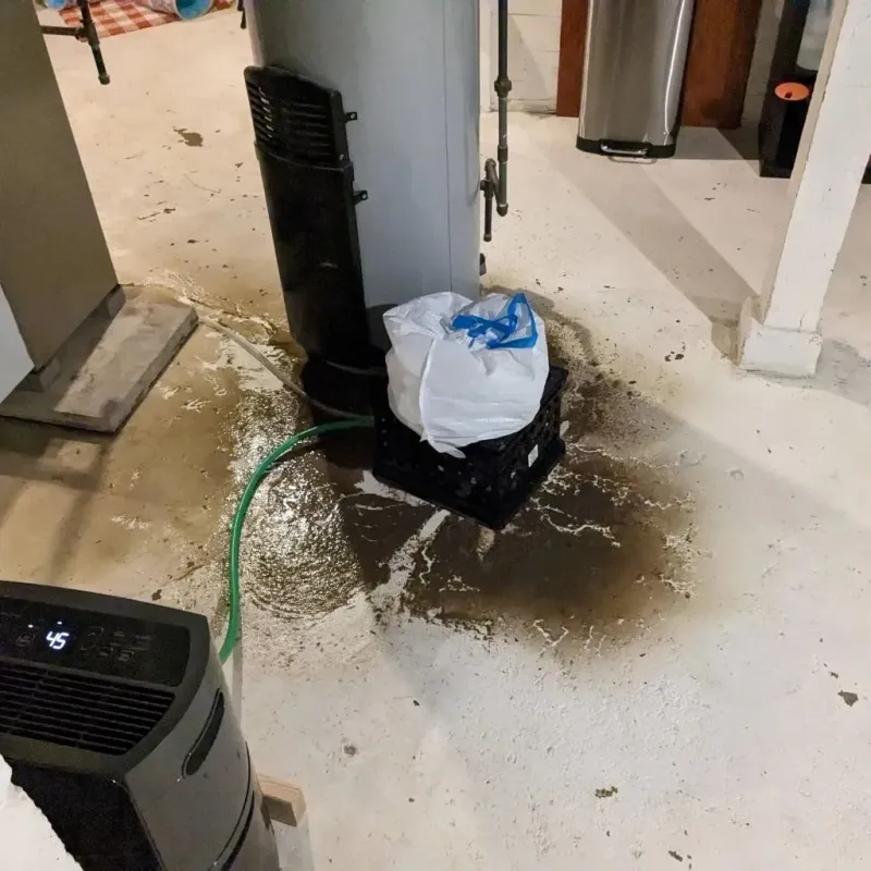 Sewage Backup Cleanup Service in Lake Kiowa, TX